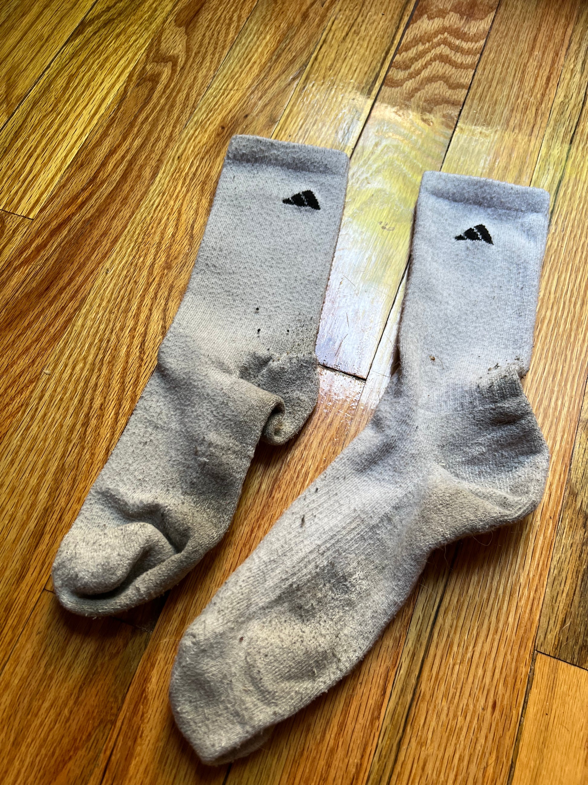 Pair of Used Socks